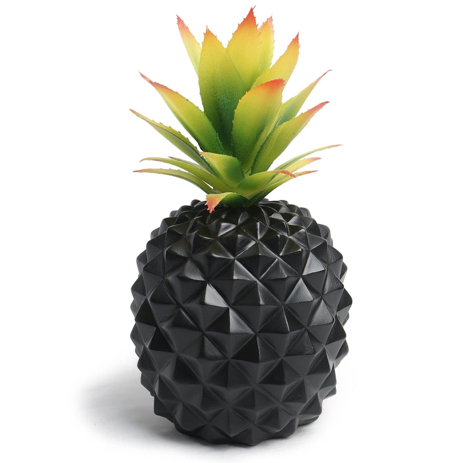 Black pineapple desk plant