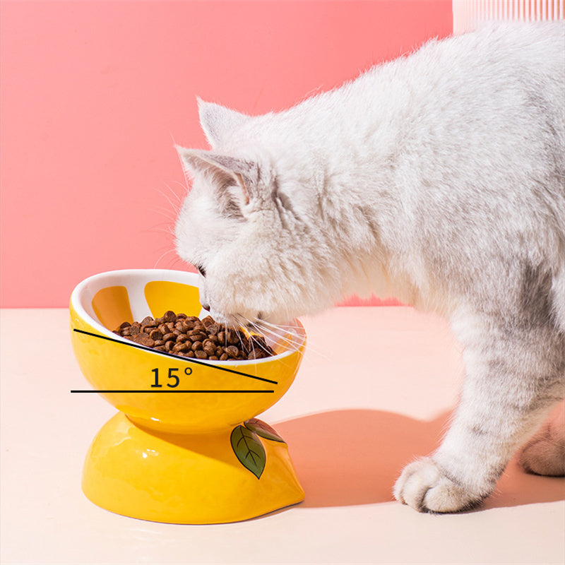 Ceramic cat bowl, ergonomic