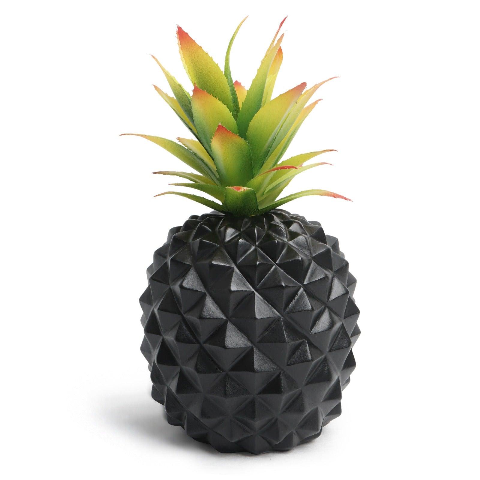 Black pineapple desk plant