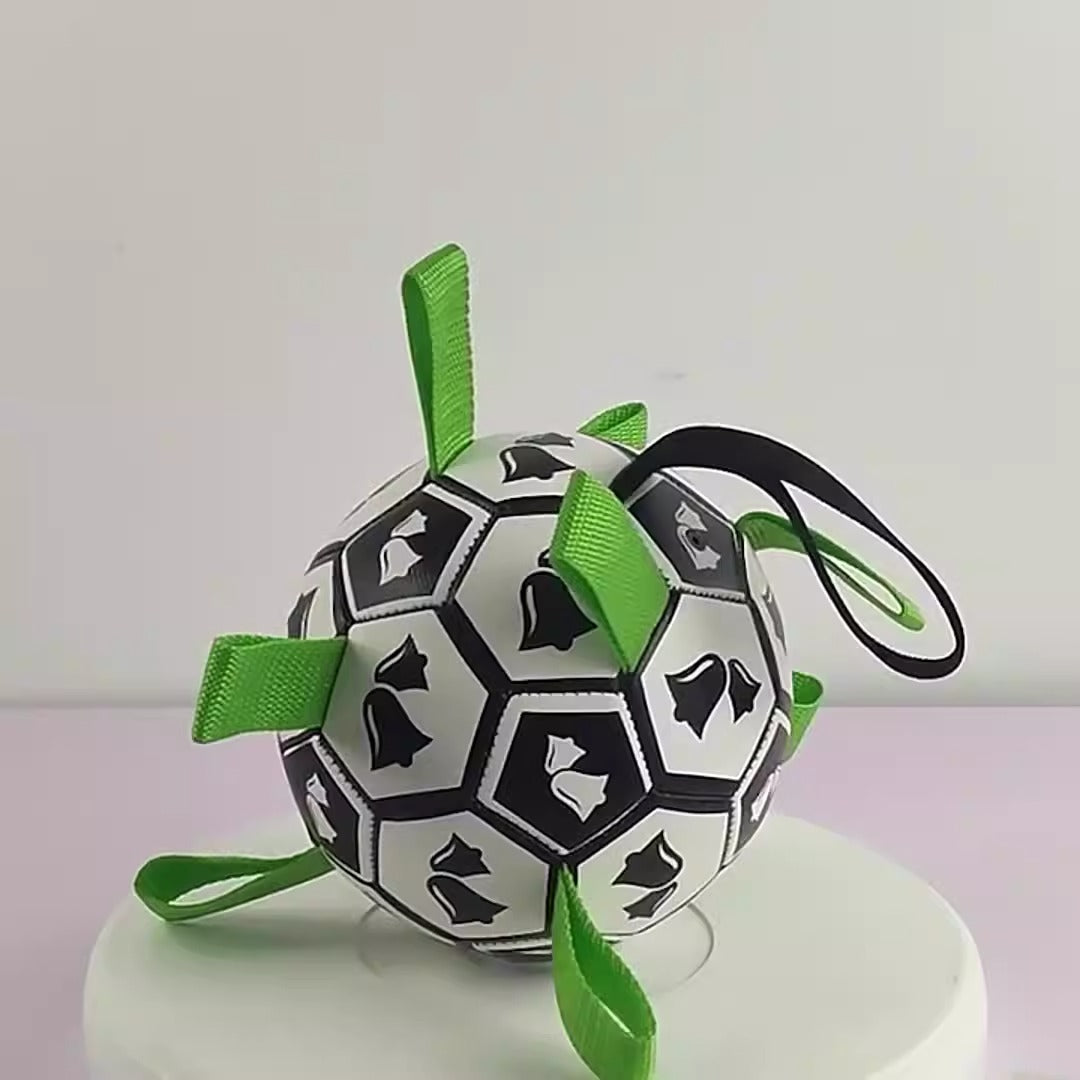 Ballon de football pour chien avec jouet en corde