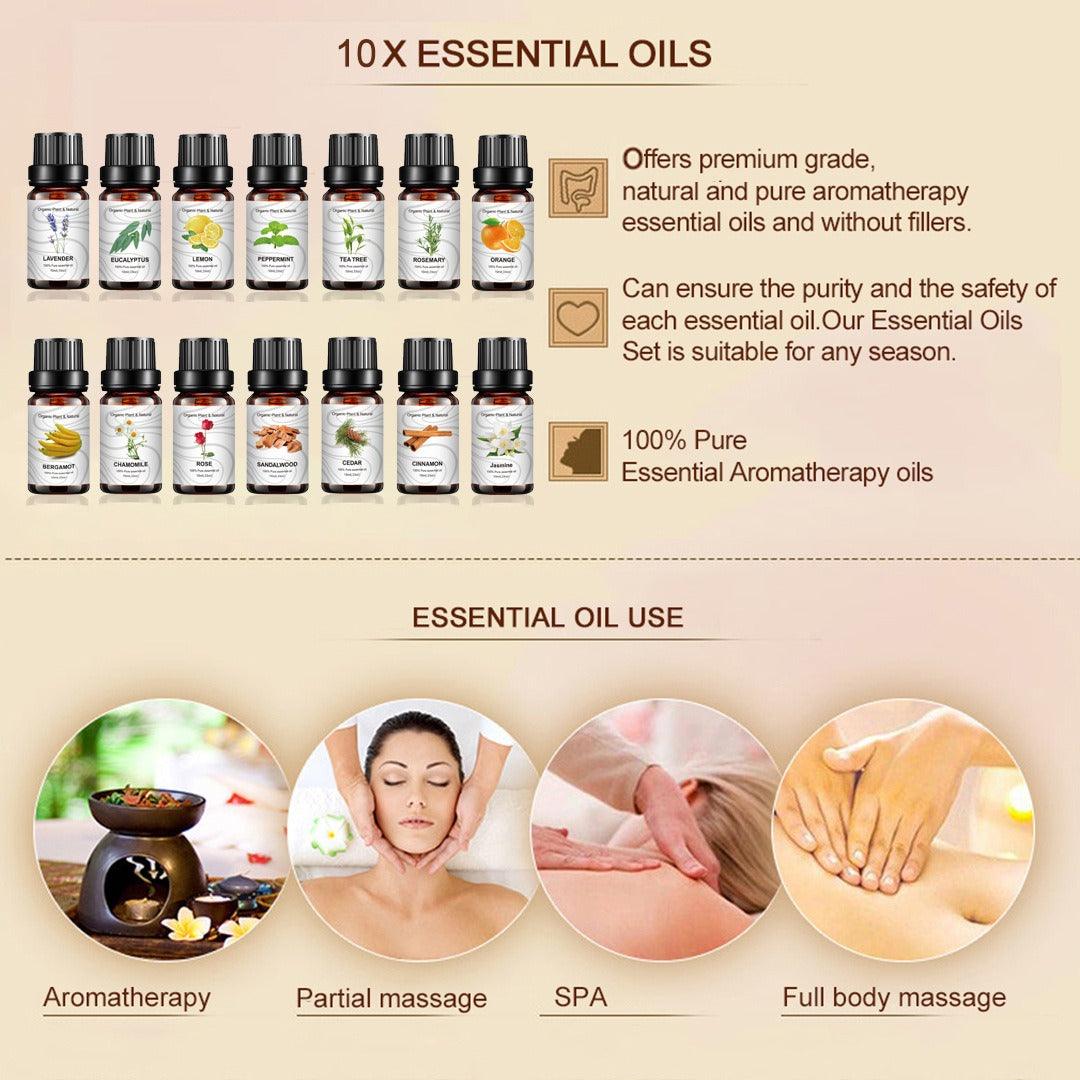 14-Piece Essential Oil Set 10ml