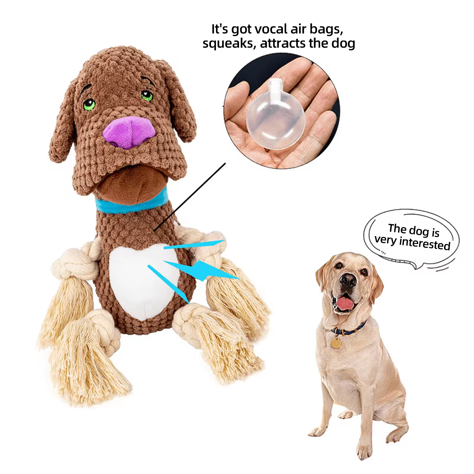 Sound plush dog toy resistant