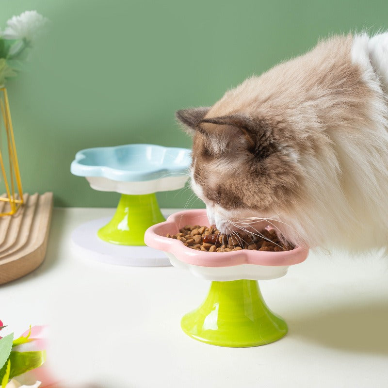 Cuenco elevado de cerámica para gatos