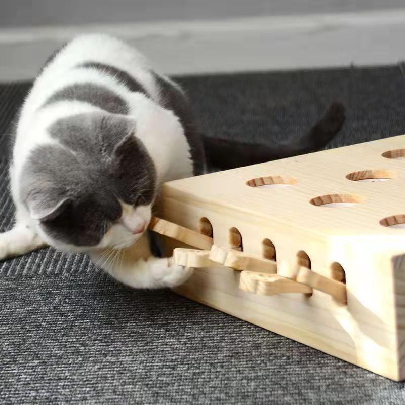 Jouet interactif pour chat : cache-cache