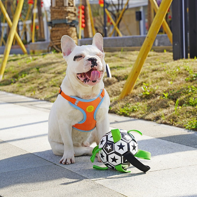 Ballon de football pour chien avec jouet en corde