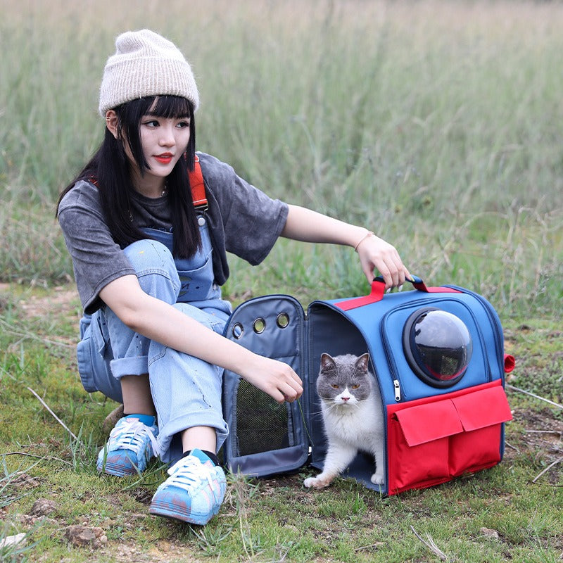 Foldable cat backpack