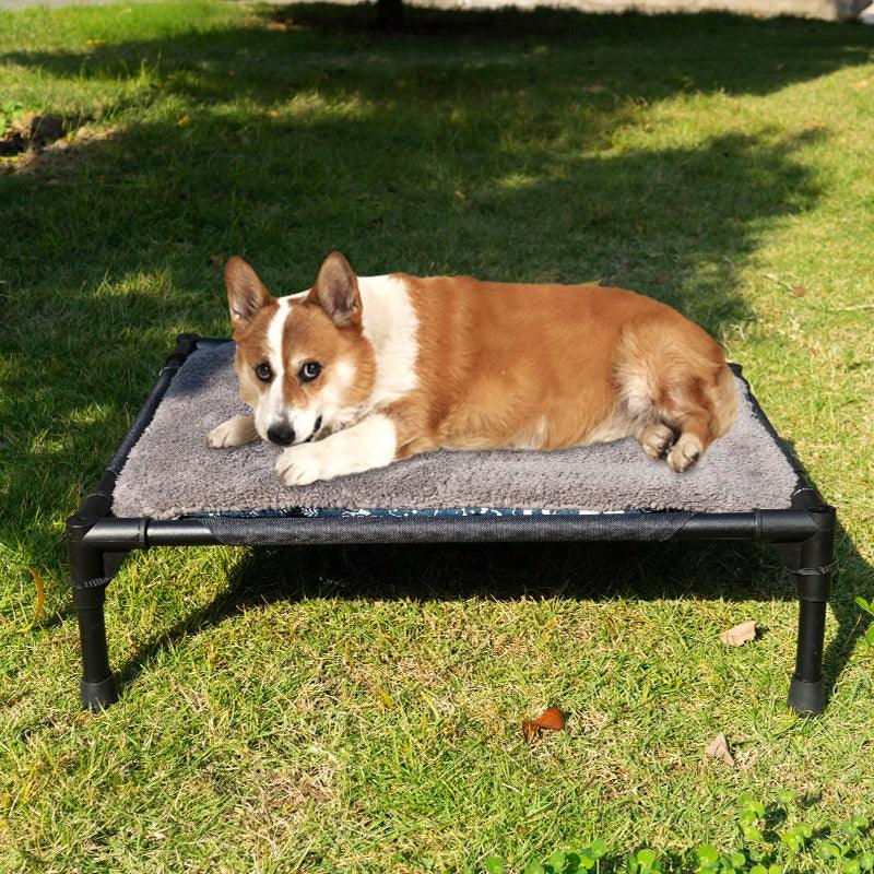 Cama plegable para acampar para mascotas