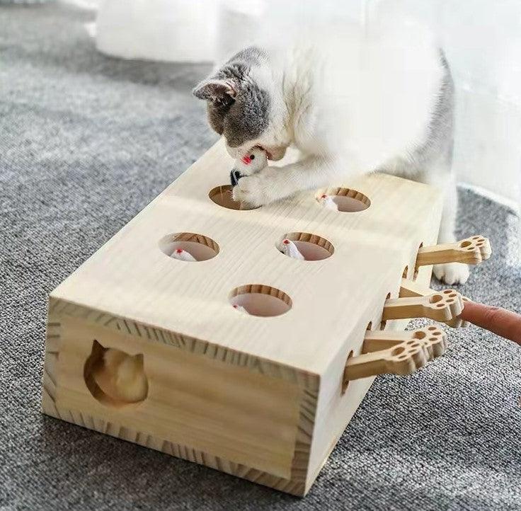 Jouet interactif pour chat : cache-cache