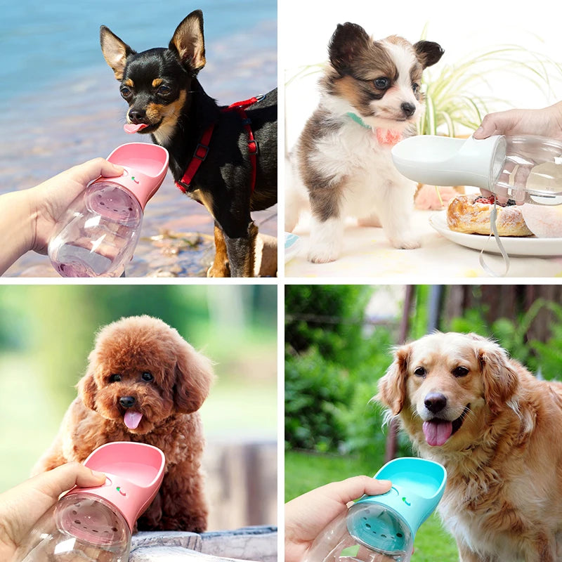 Portable water bottle for dogs