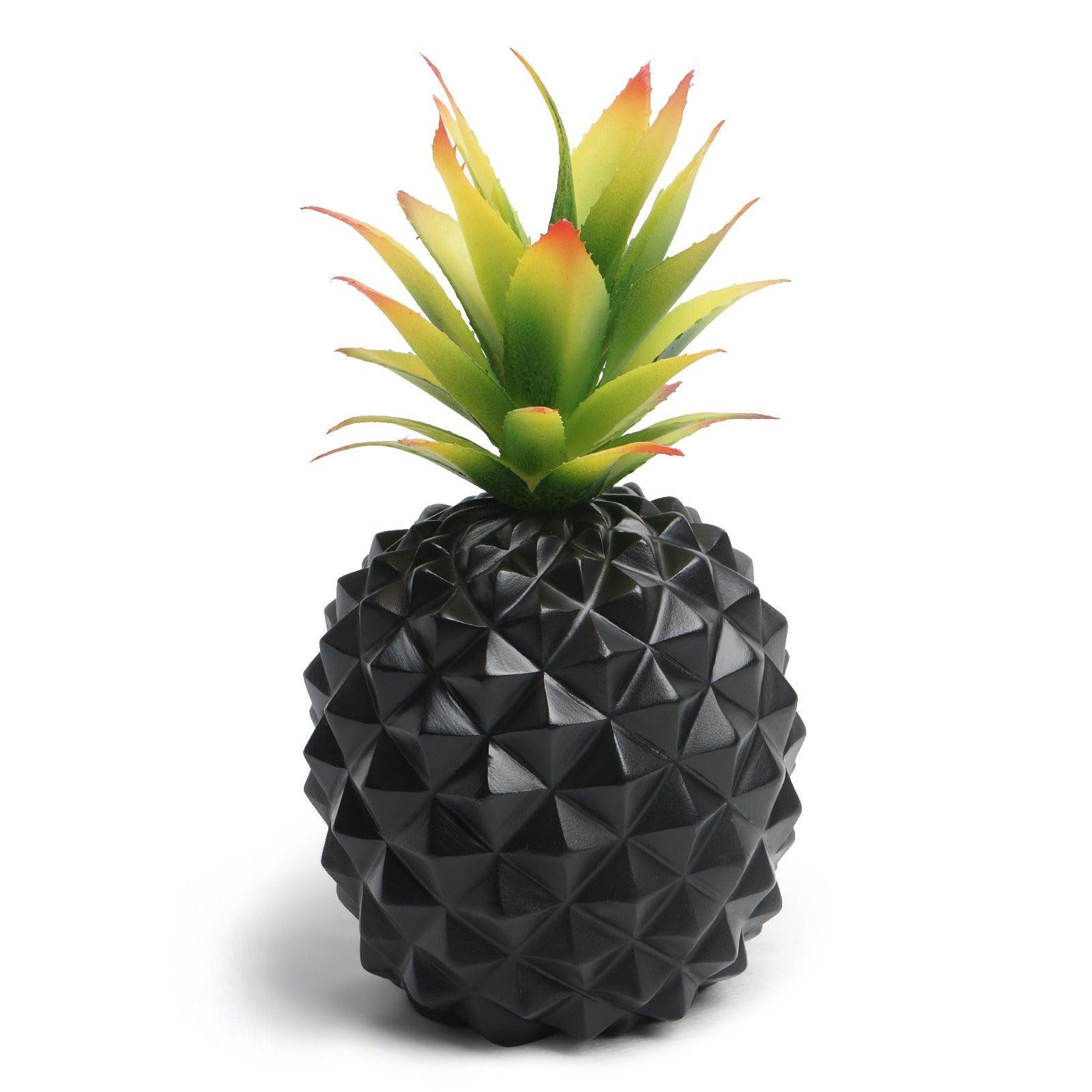 Black pineapple desk plant