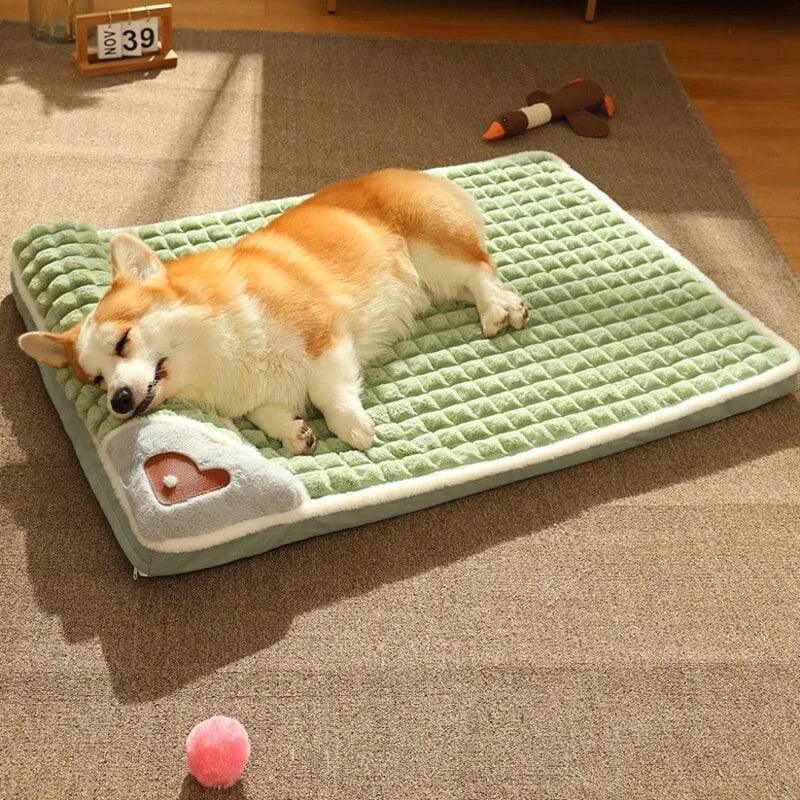 Soft dog bed with removable cushion