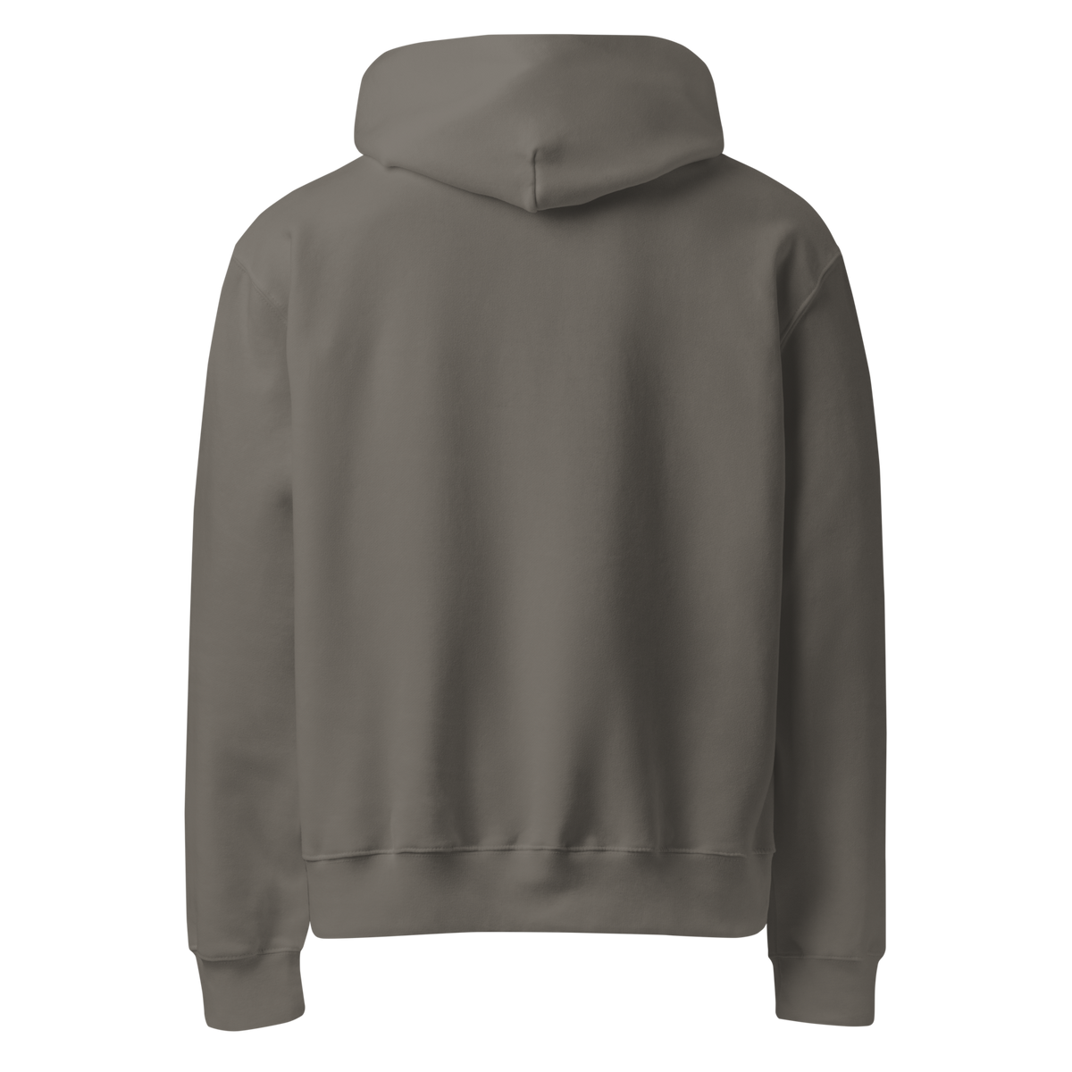 Hoodie Signature coordonné — Asphalte, dos